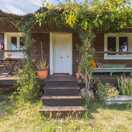 Ruralcamomo Villa Cádiz Eksteriør bilde