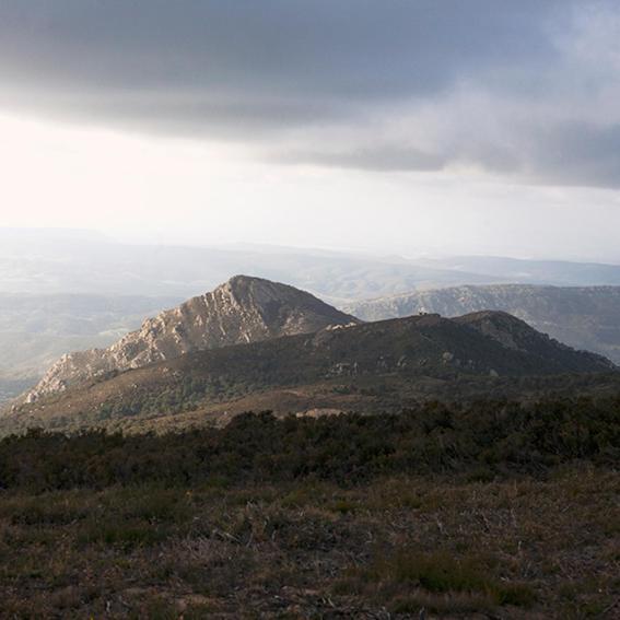 Ruralcamomo Villa Cádiz Eksteriør bilde