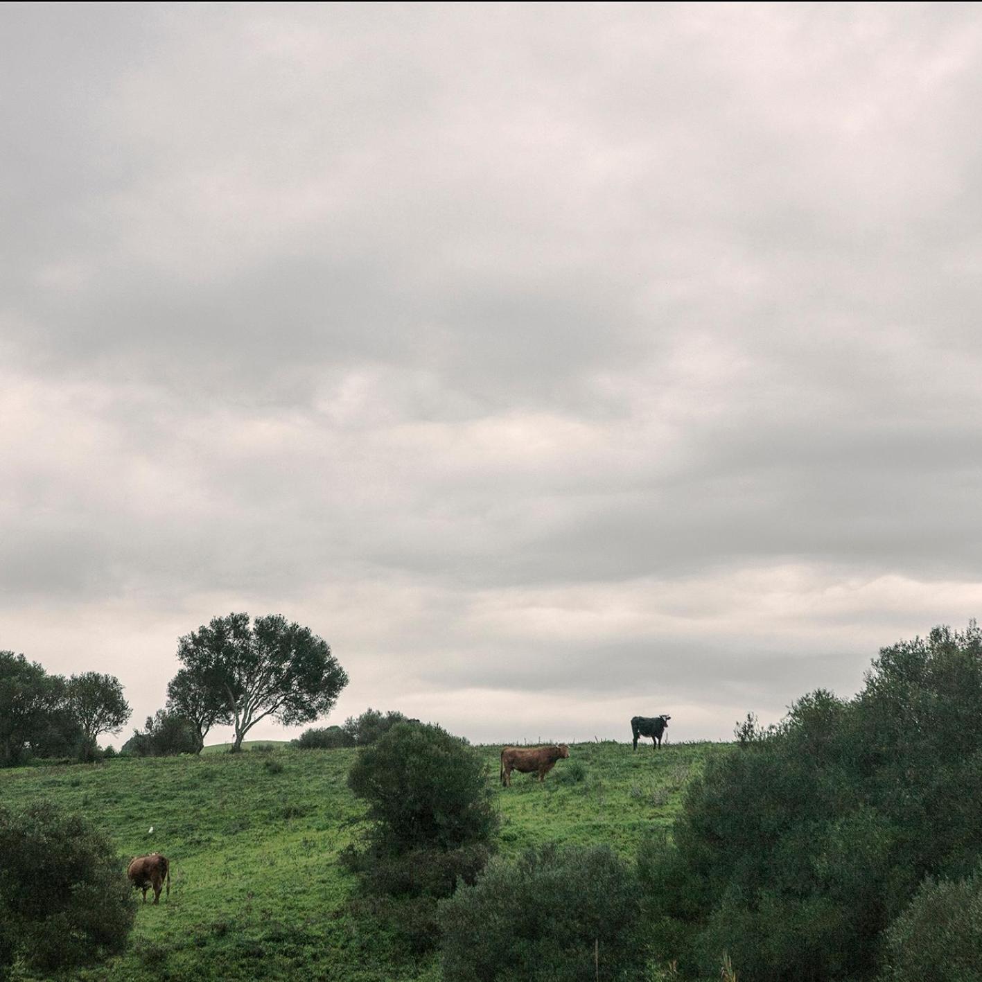 Ruralcamomo Villa Cádiz Eksteriør bilde