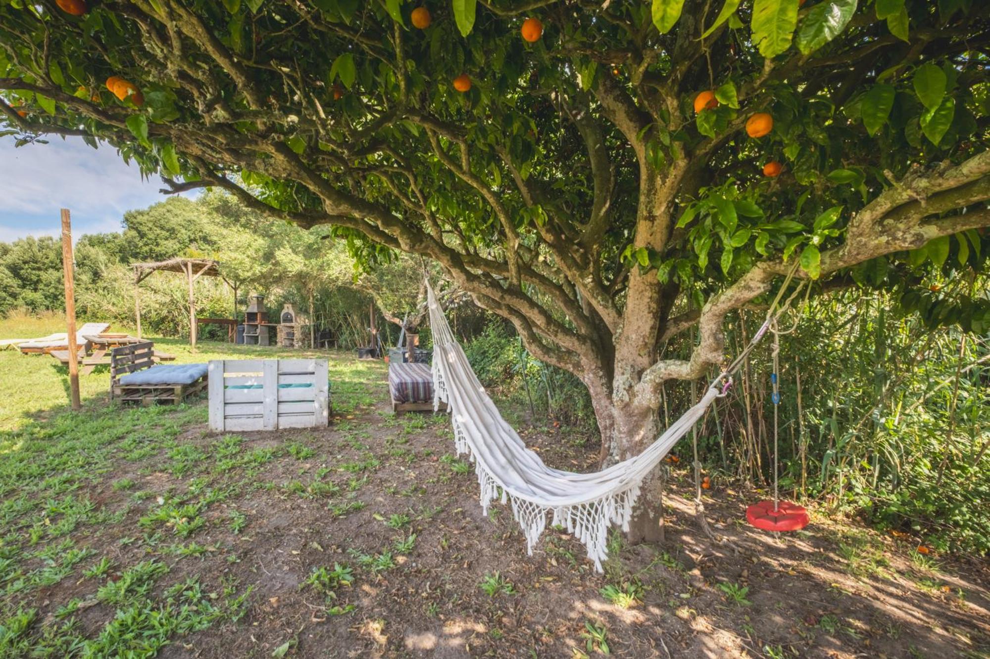 Ruralcamomo Villa Cádiz Eksteriør bilde