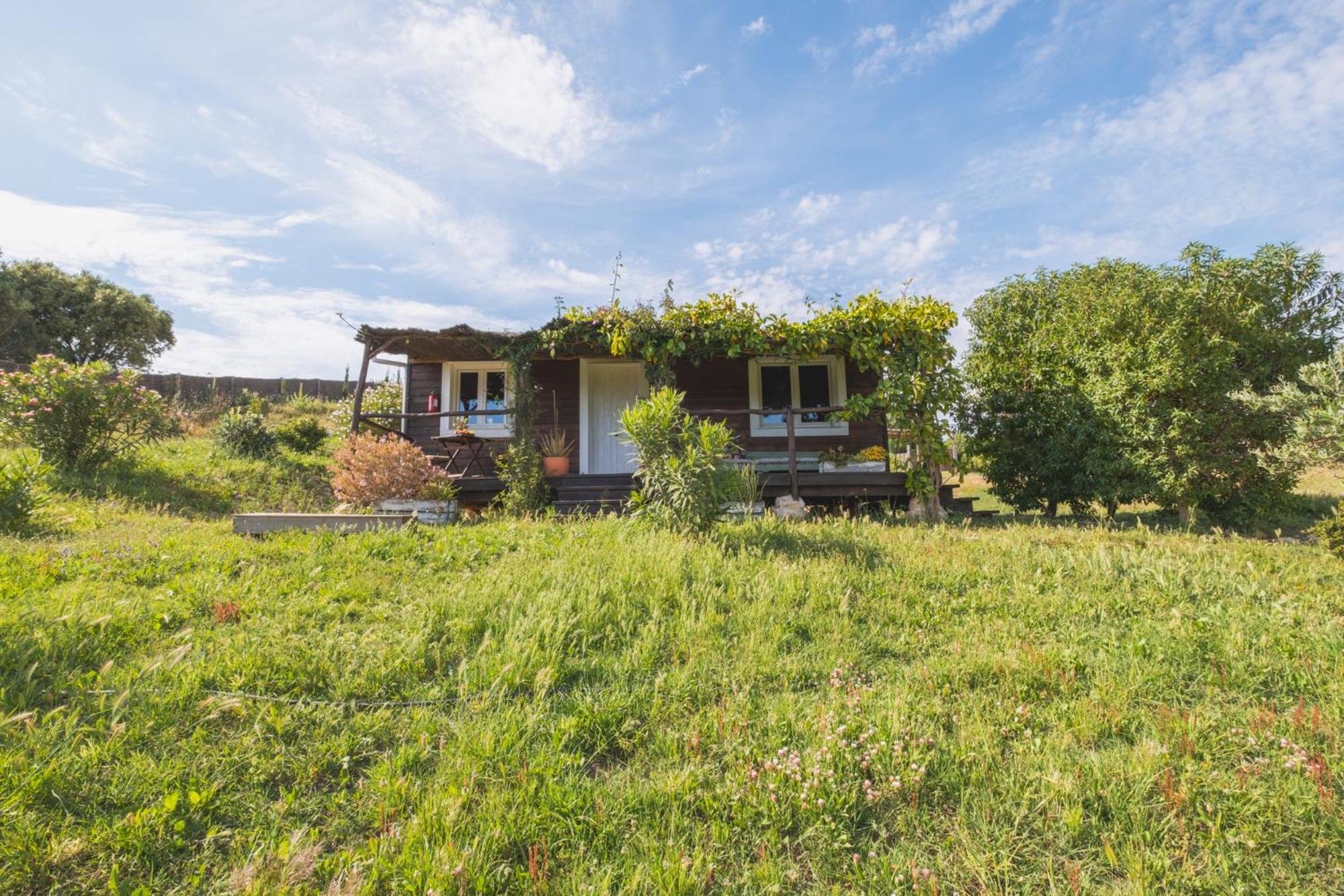Ruralcamomo Villa Cádiz Eksteriør bilde