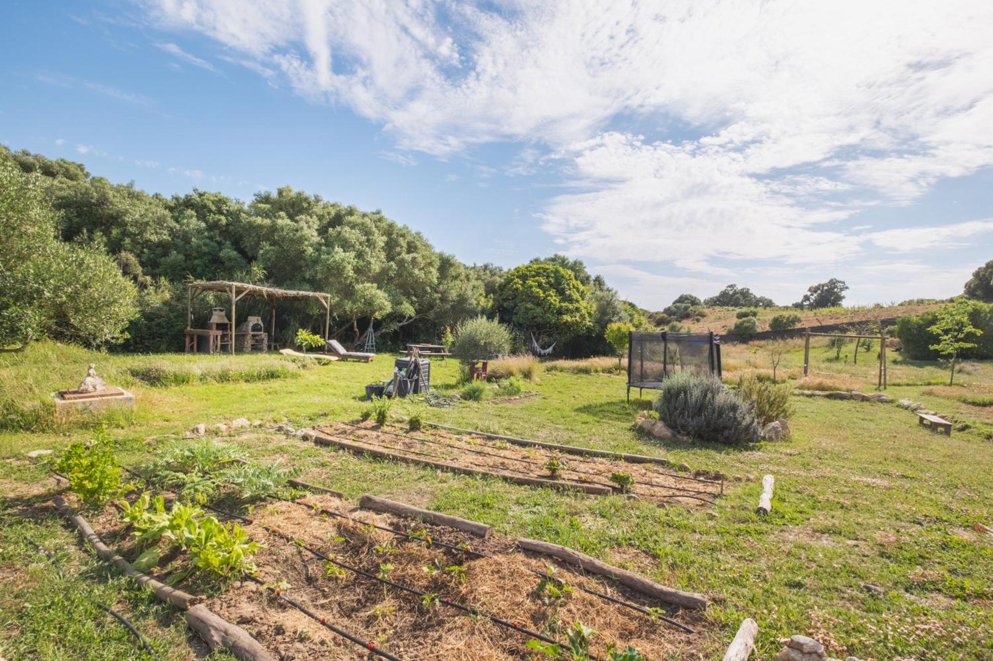 Ruralcamomo Villa Cádiz Eksteriør bilde