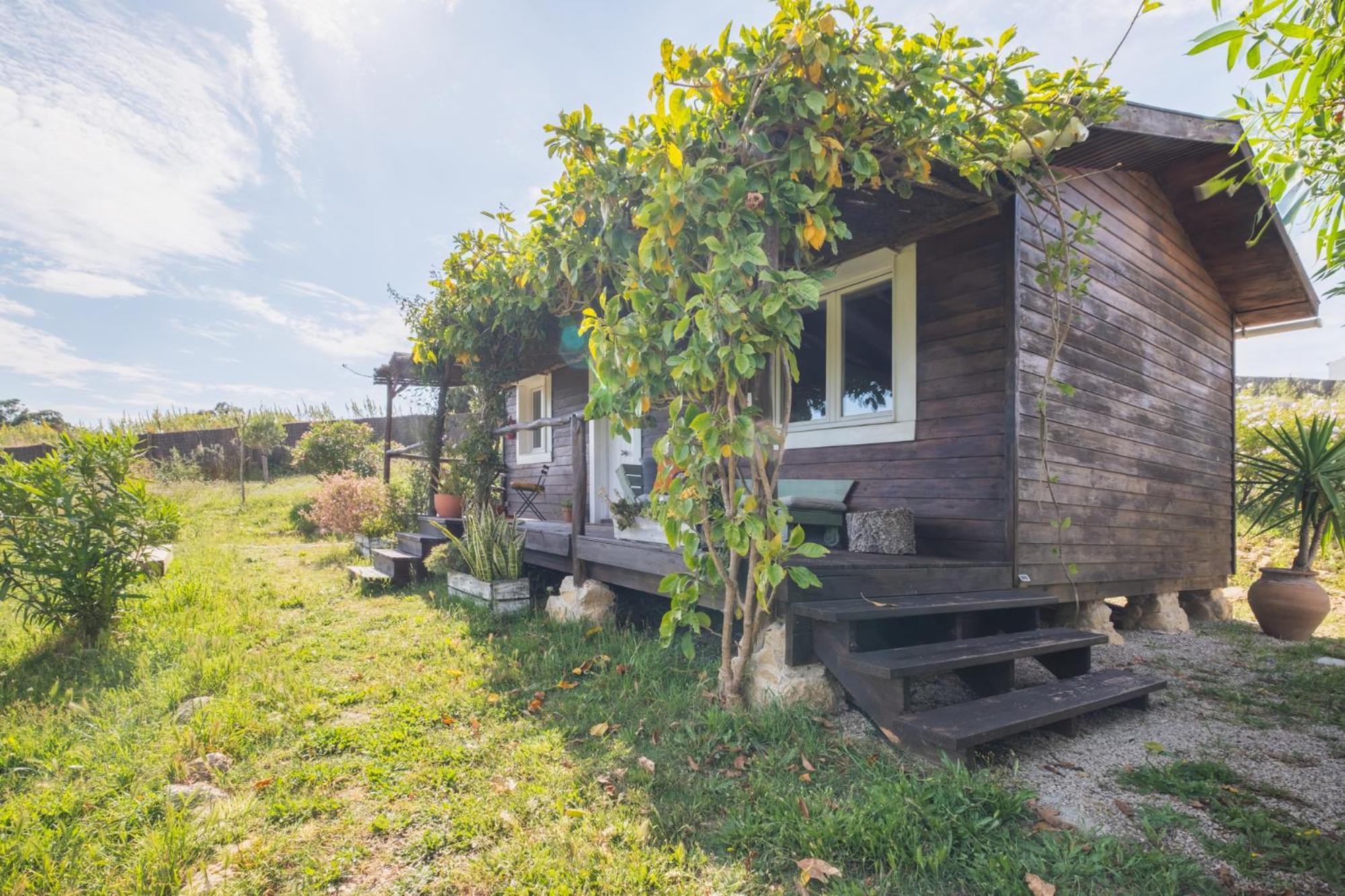 Ruralcamomo Villa Cádiz Eksteriør bilde